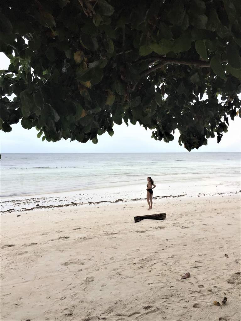 dumaluan beach resort, dumaluan beach resort contact number, dumaluan resort rates, dumaluan beach, dumaluan contact number, dumaluan beach description, dumaluan beach contact number, dumaluan beach entrance fee, dumaluan beach resort website, dumaluan beach resort bahay kubo rate, dumaluan beach resort room rates, dumaluan beach resort review, bohol beach club, dumaluan beach resort package, dumaluan 1 beach resort, bohol beach, bohol island, bohol hotels panglao, list of hotels in bohol, cheap hotels in bohol, where to stay in bohol, bohol beach resort, affordable resorts in panglao, panglao resort near beach, panglao resort with pool, public beach resort in panglao, where to stay in bohol 2021, things to do in bohol, where to stay in panglao, bohol blog, bohol tourist spot, bohol travel package, where to stay in bohol backpacker, bohol blogger, panglao island blog, bohol tourist spot