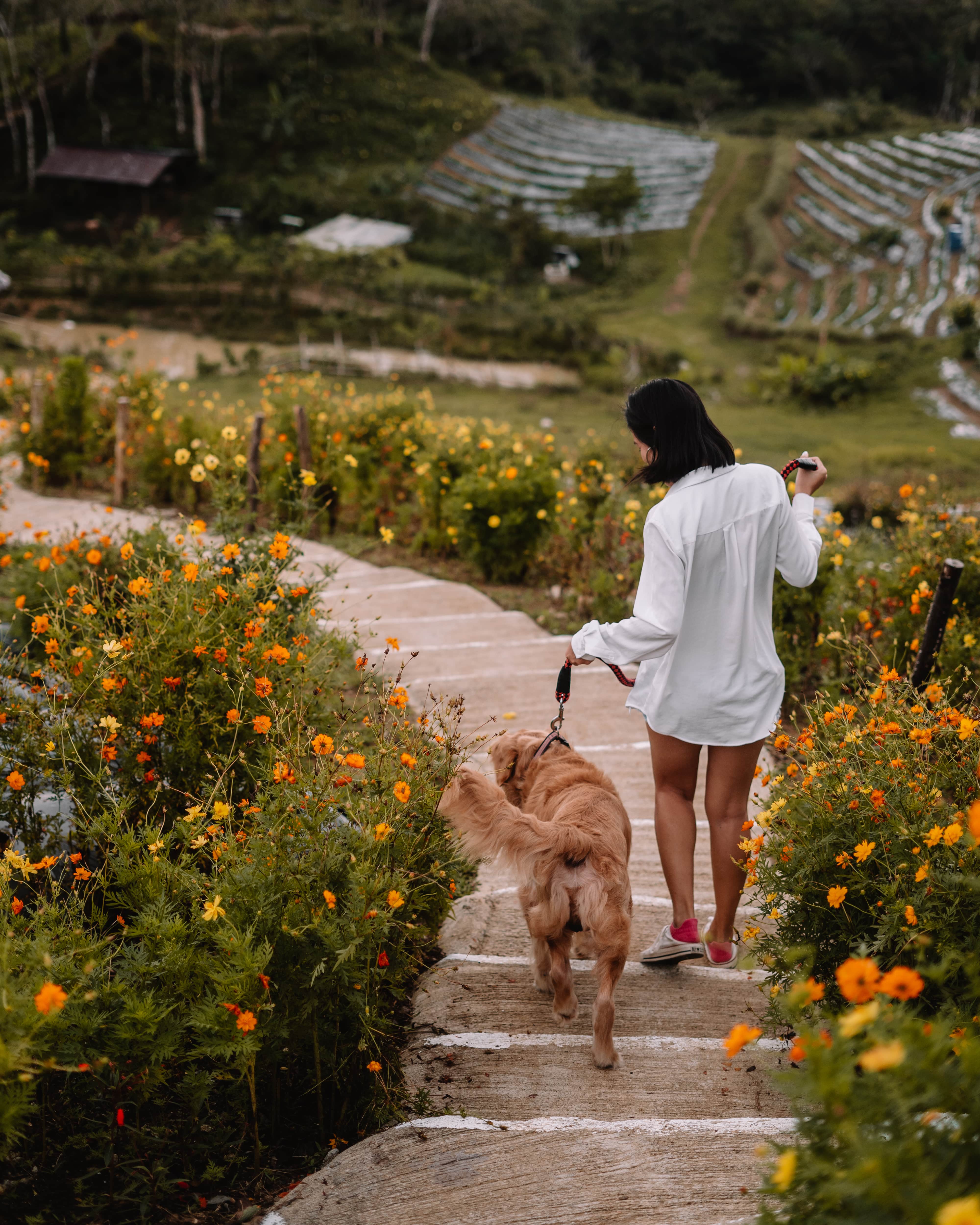 mayana highland cafe, mayana peak bohol,bohol tourist spot,bohol travel requirements,bohol glamping,bohol camping,bohol map,bohol island,bohol beach,bohol tourist spot,bohol travel package,bohol tourism,bohol tour,bohol tour package,bohol tourist attractions,bohol tourist,bohol tour itinerary,bohol blog,bohol bloggers,bohol blog tour,bohol blog where to stay,blog bohol tour,daryll gubat photographer,bohol photographer,jagna tourist spot,strawberry farm bohol