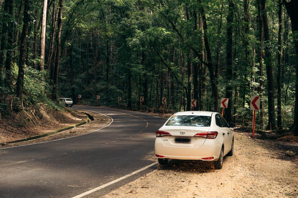 bohol philippines DIY tour blog, bohol philippines blog, bohol blogger, bohol tours, bohol car rental, bohol roadtrip, bohol diy itinerary, the boholana, bohol blogs, bohol Philippines, how to go around bohol