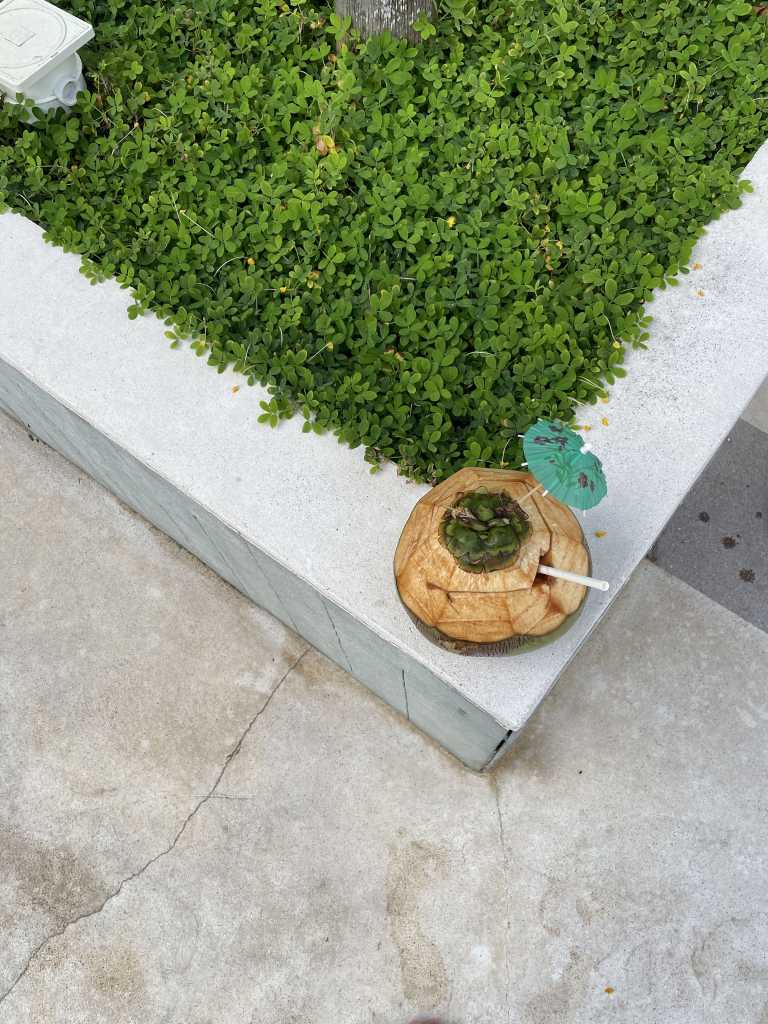 Best western plus ivywall resort alona beach pangloa bohol philippines blog, where to stay in panglao, where to stay in alona beach, panglao resorts, alona resorts, bohol blog, bohol blogger, the boholana